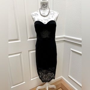 NWT Ark&Co sexy bustier lace dress sz M